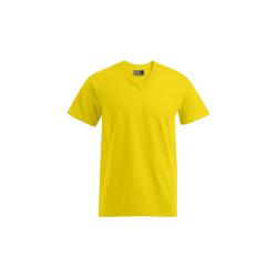 Premium V-Neck T-Shirt
