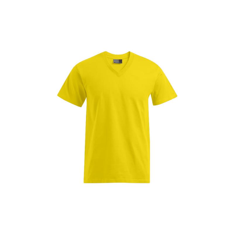 Premium V-Neck T-Shirt
